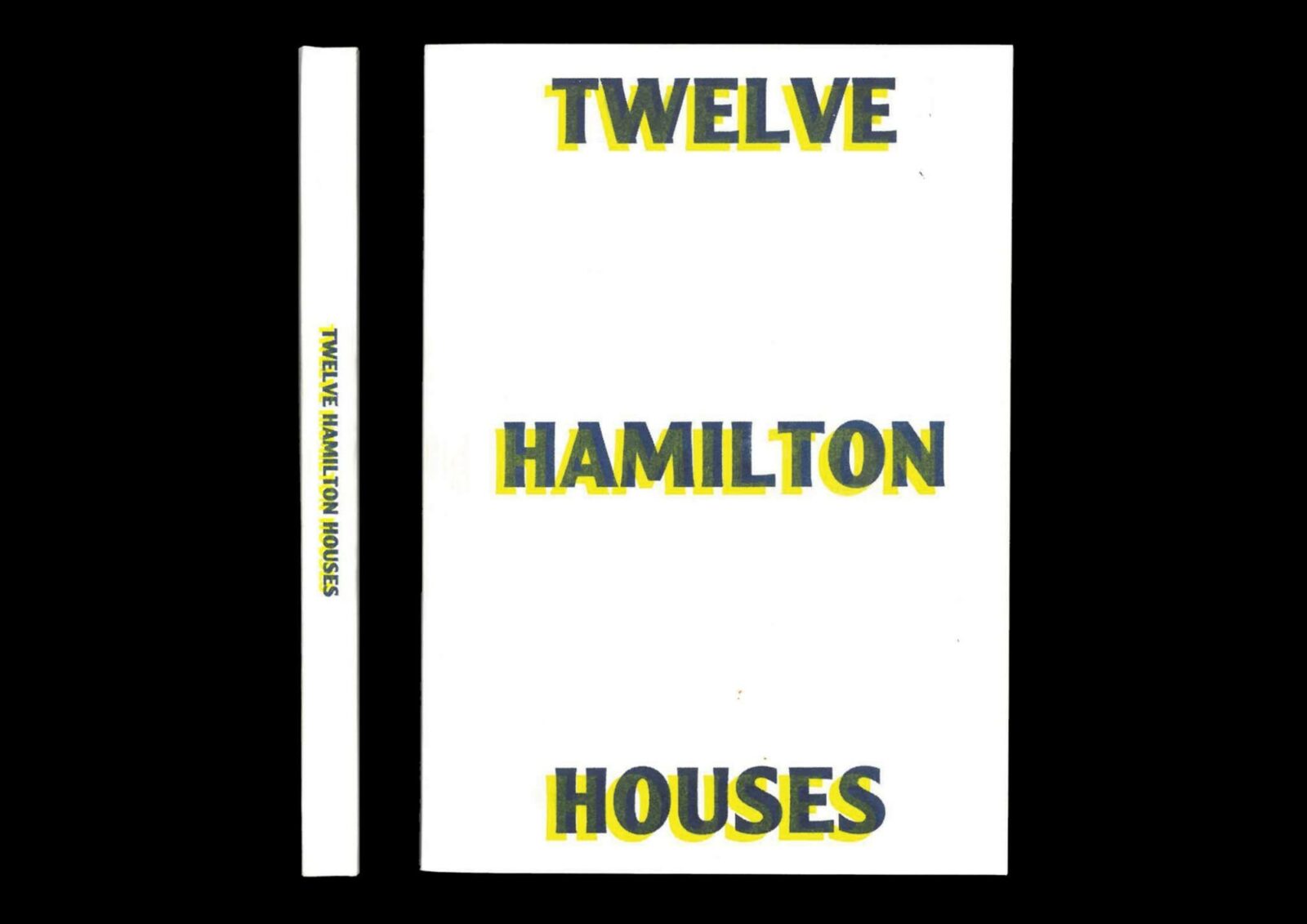 Best Design Finalist 2021 - Mitchell Clement, Twelve Hamilton Houses