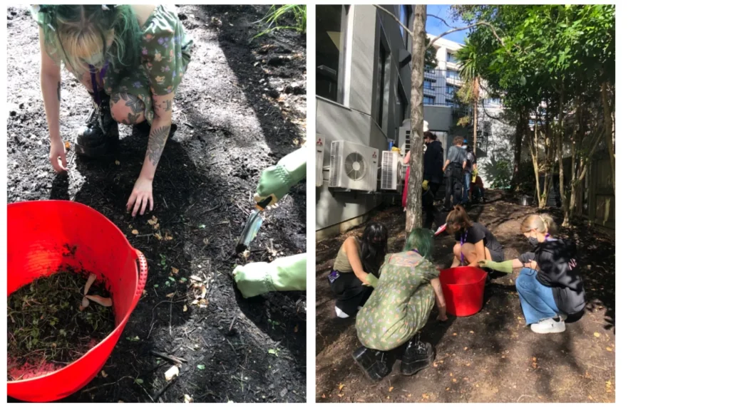 BSFD Year one student's clearing out weeds and layering the soil with compost