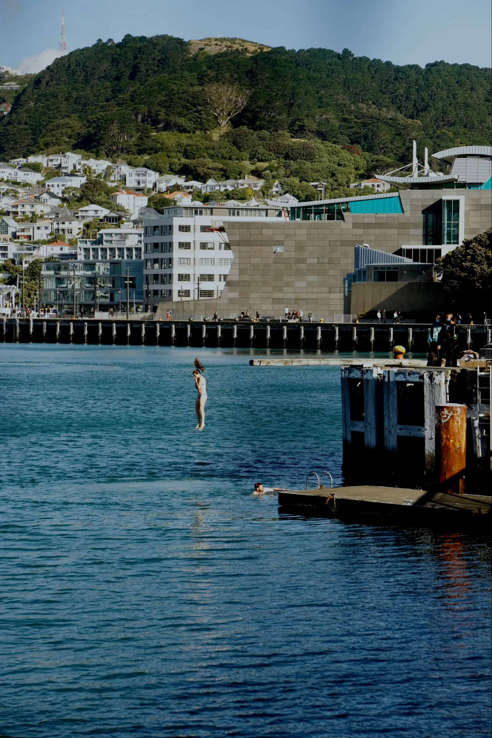 wellington te papa